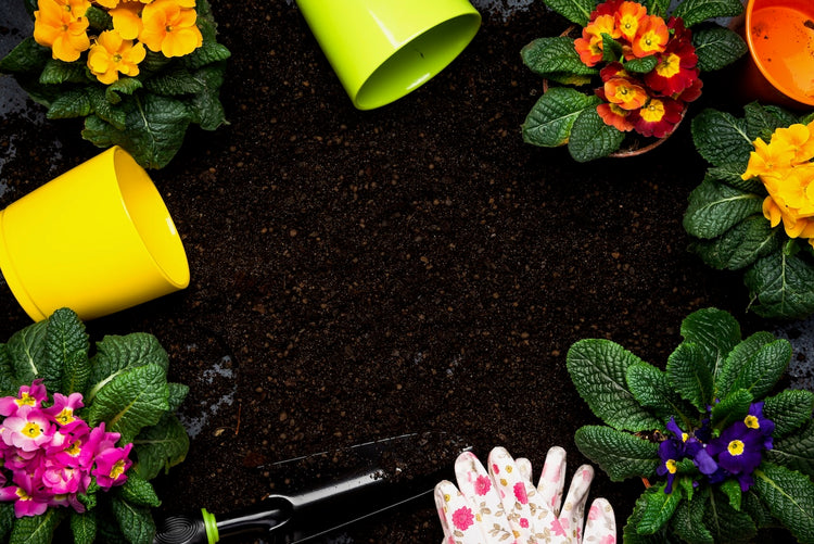 Soil Blends